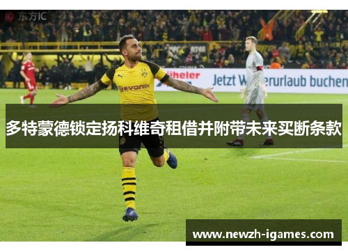 多特蒙德锁定扬科维奇租借并附带未来买断条款 多特蒙德锁定扬科维奇租借并附带未来买断条款